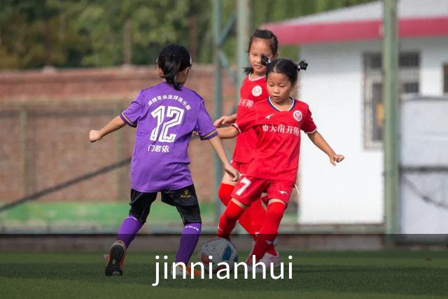 jinnianhui公司介绍